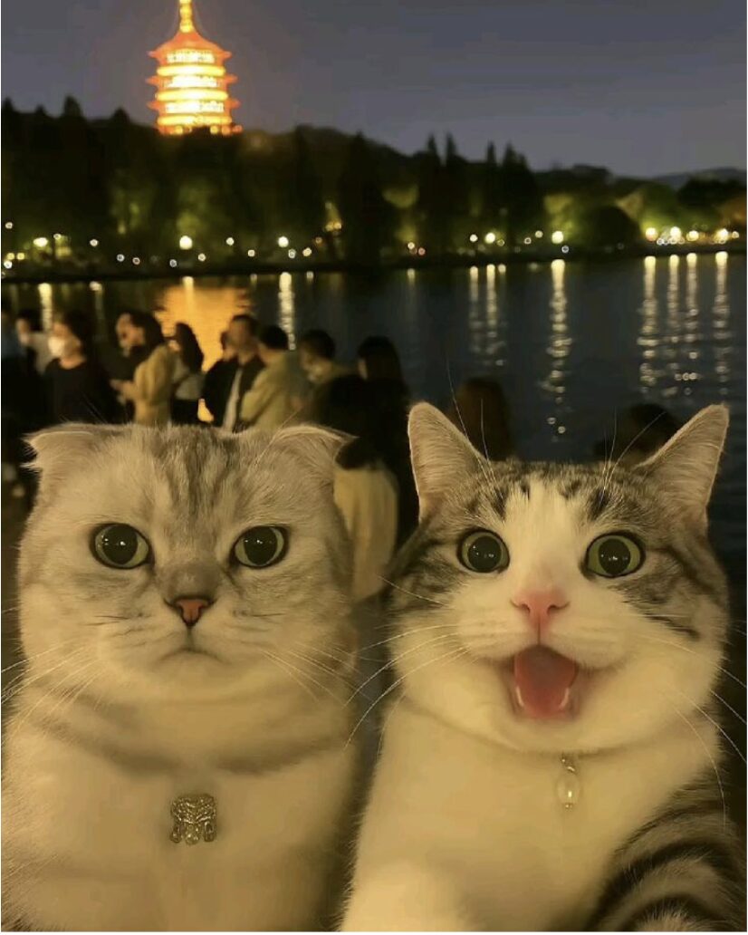 “College Is Not Enough: How Students Actually Get Ahead”